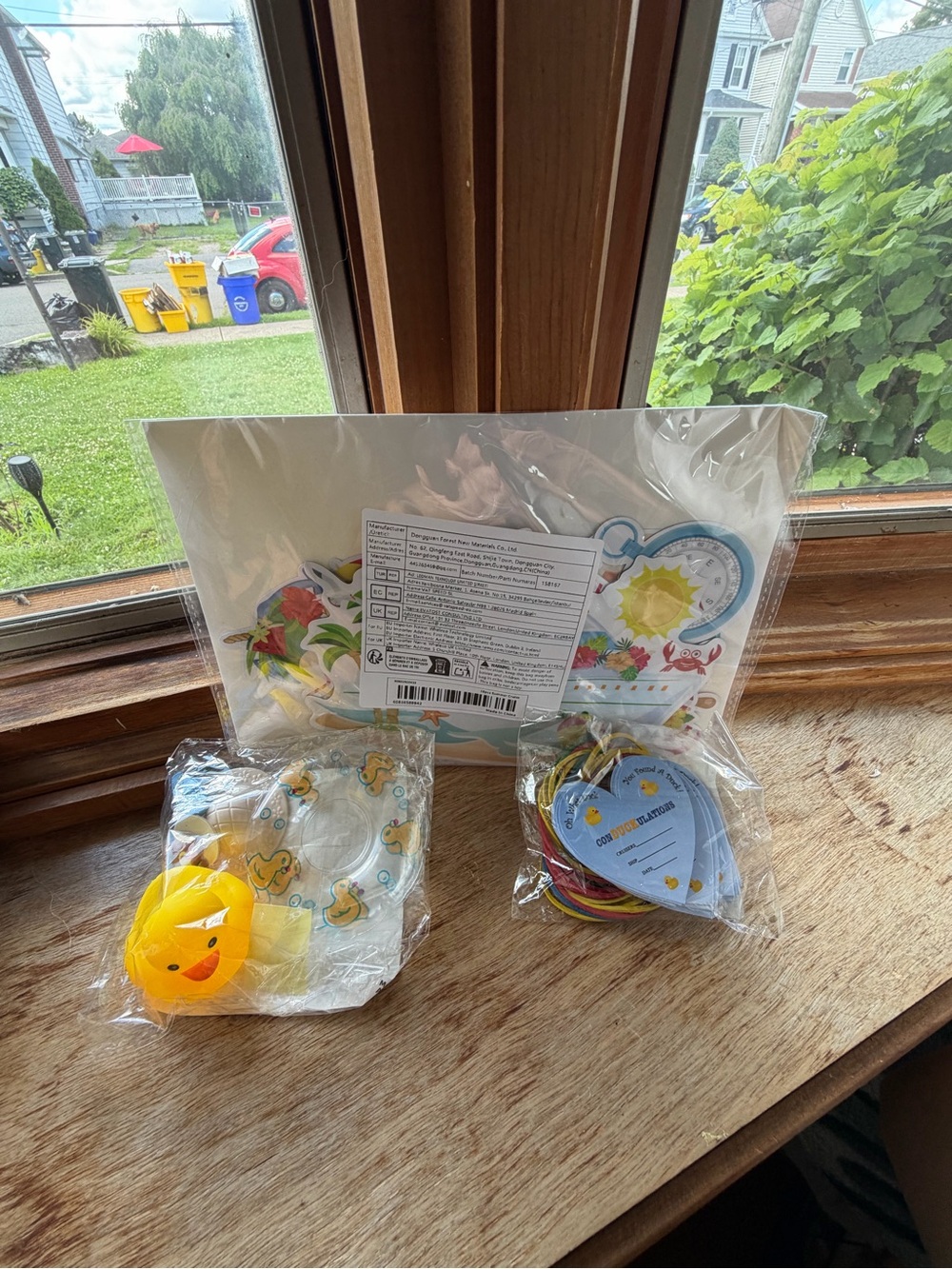 Cruise Rubber Duck, magnet, tags set